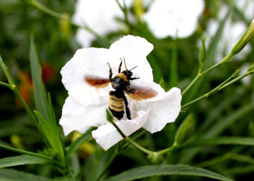 Looking for a peaceful oasis in the Lowcountry? It’s closer than you think