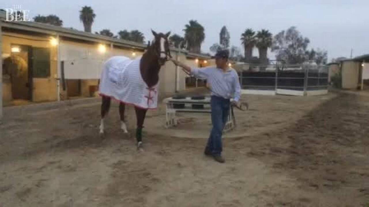 California Chrome prepares for Pacific Classic
