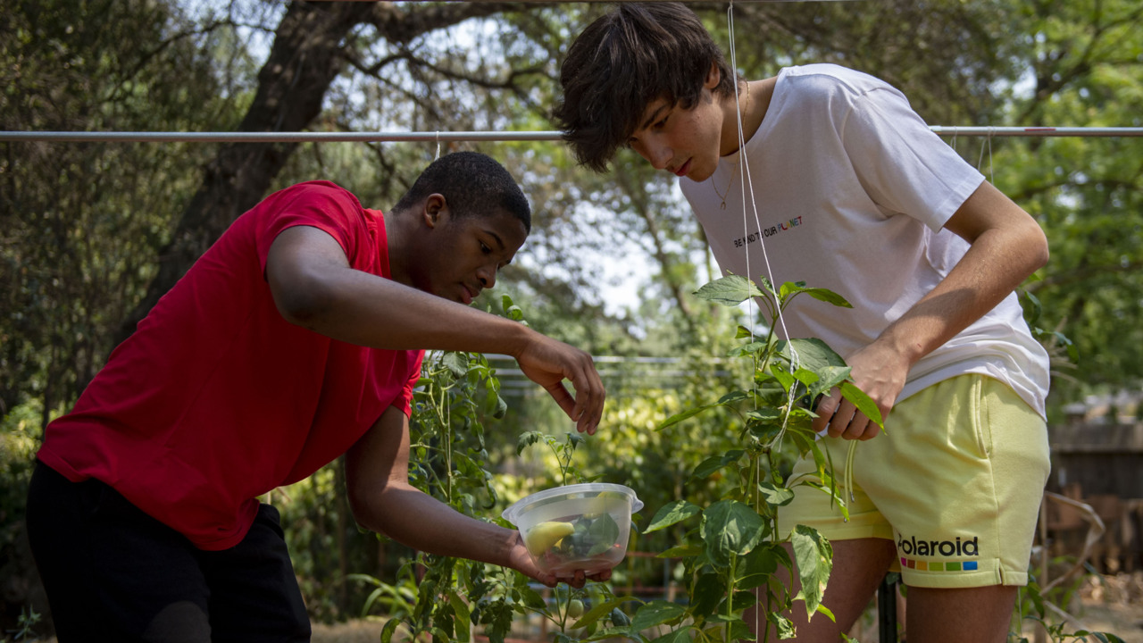 See the ‘side project’ these student athletes built while on hiatus from school sports