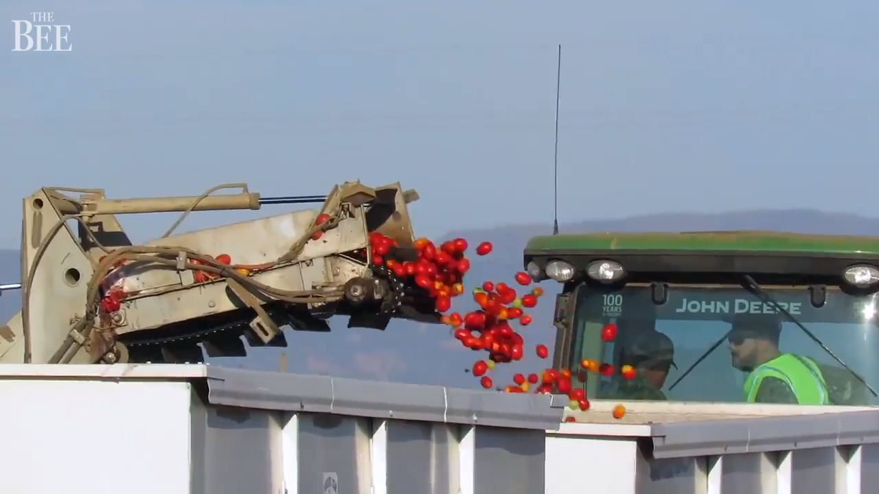 Farming, lifeblood of Central California, has changed since 2002. What acreage shifts mean?