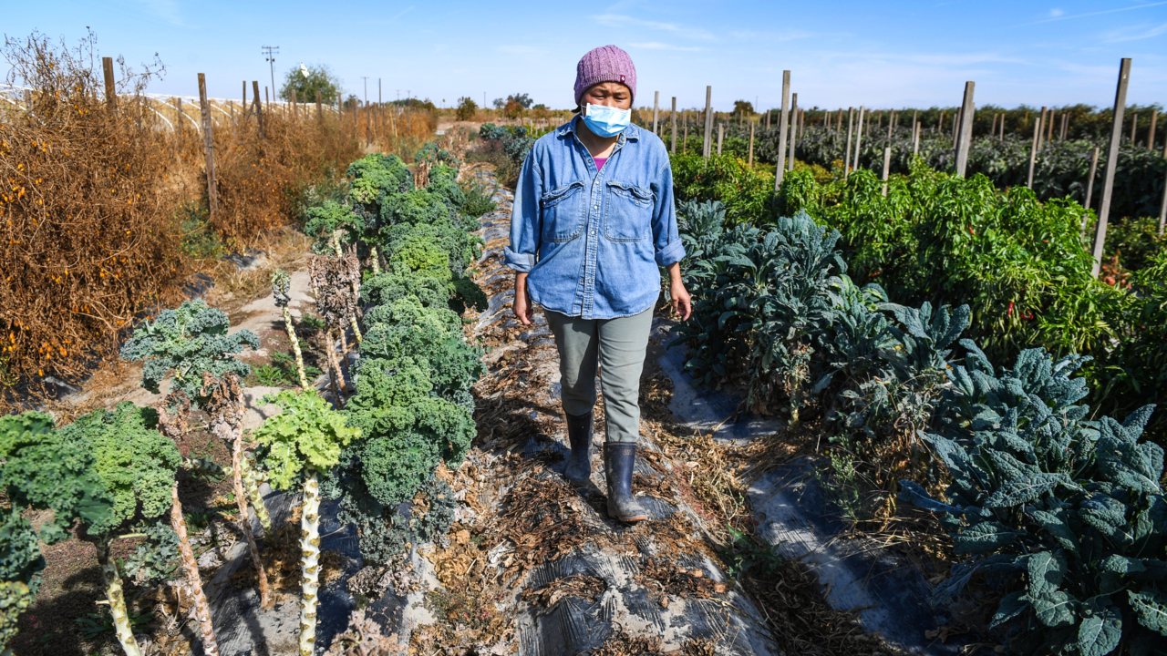 Family farms struggling as California drought worsens: ‘We haven’t faced anything like this’