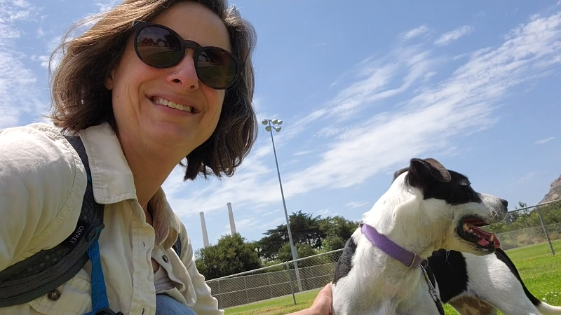 Pet Tales: Iris the sweet border collie needs a forever home