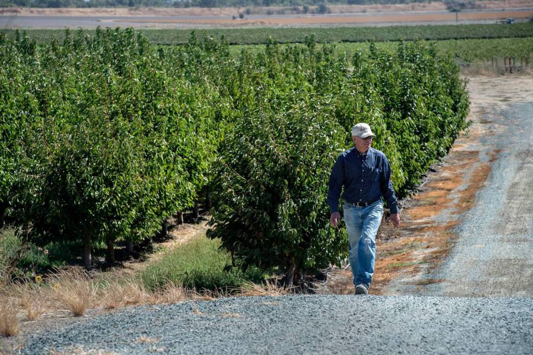 How the tunnel project might affect Delta landowners