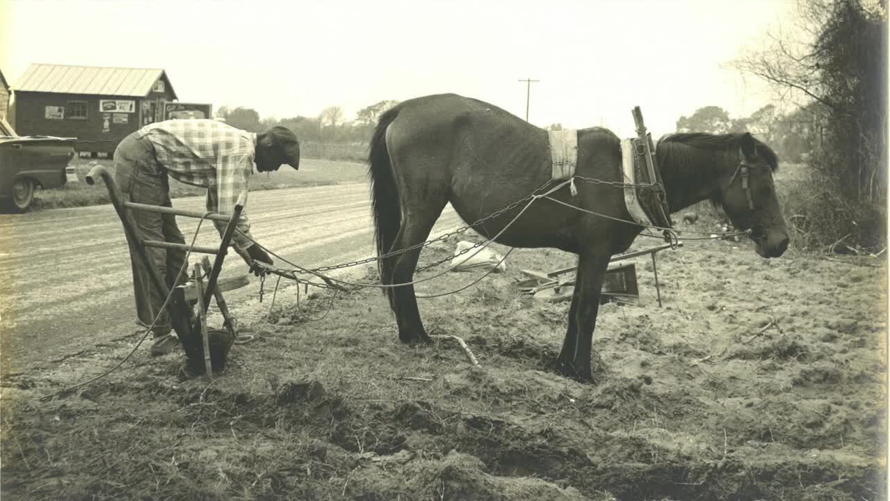 Historical, family photos share a rare look at Hilton Head islanders before bridge