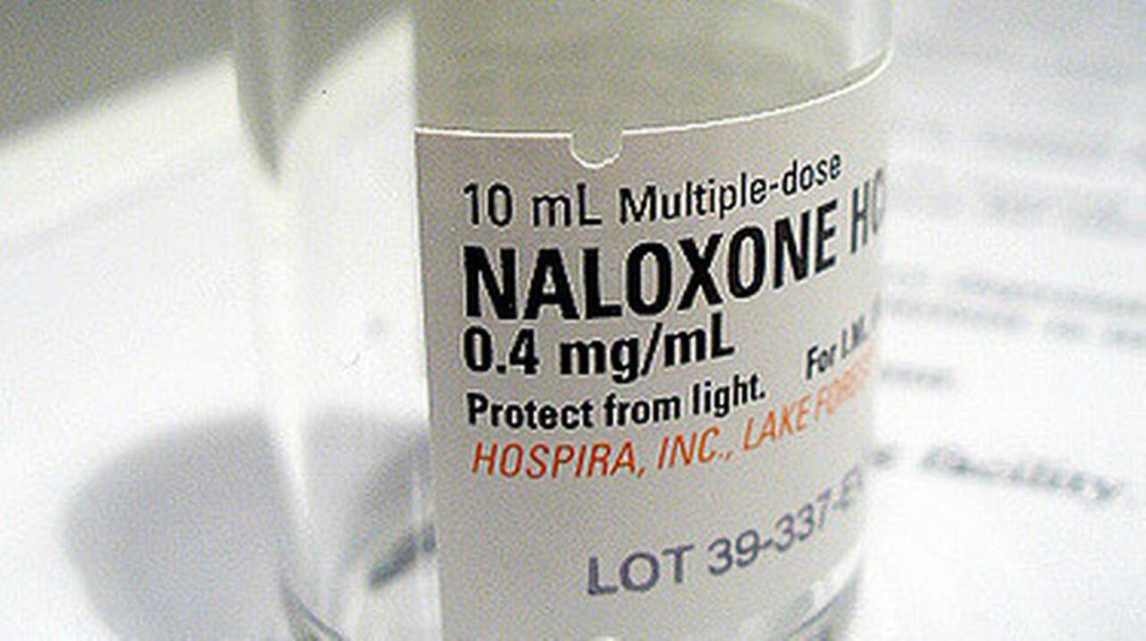 It’s ‘Sept. 11 every 3 weeks.’ How fentanyl is killing Beaufort County, America