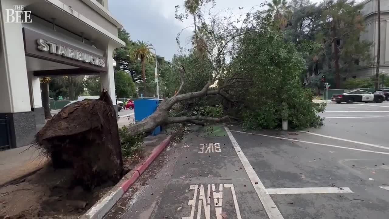 See heavy winds begin blowing through the Sacramento area