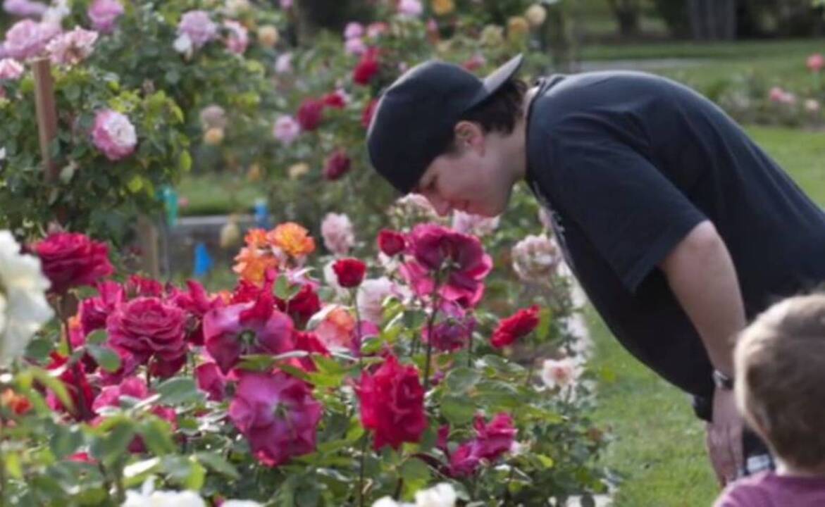 Sacramento region prepares for a tough allergy season