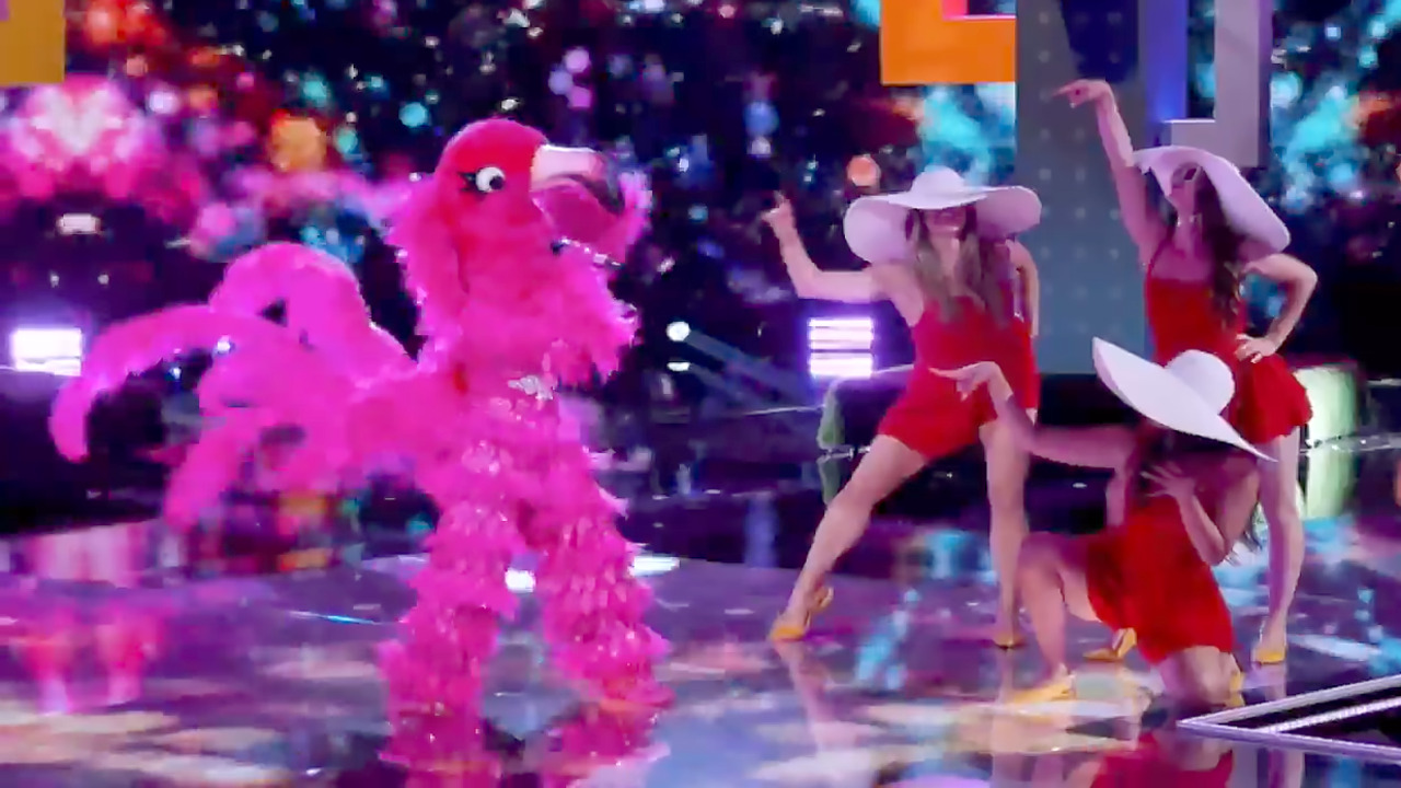 Could this ‘American Idol’ winner from NC be the Flamingo on ‘The Masked Singer’?