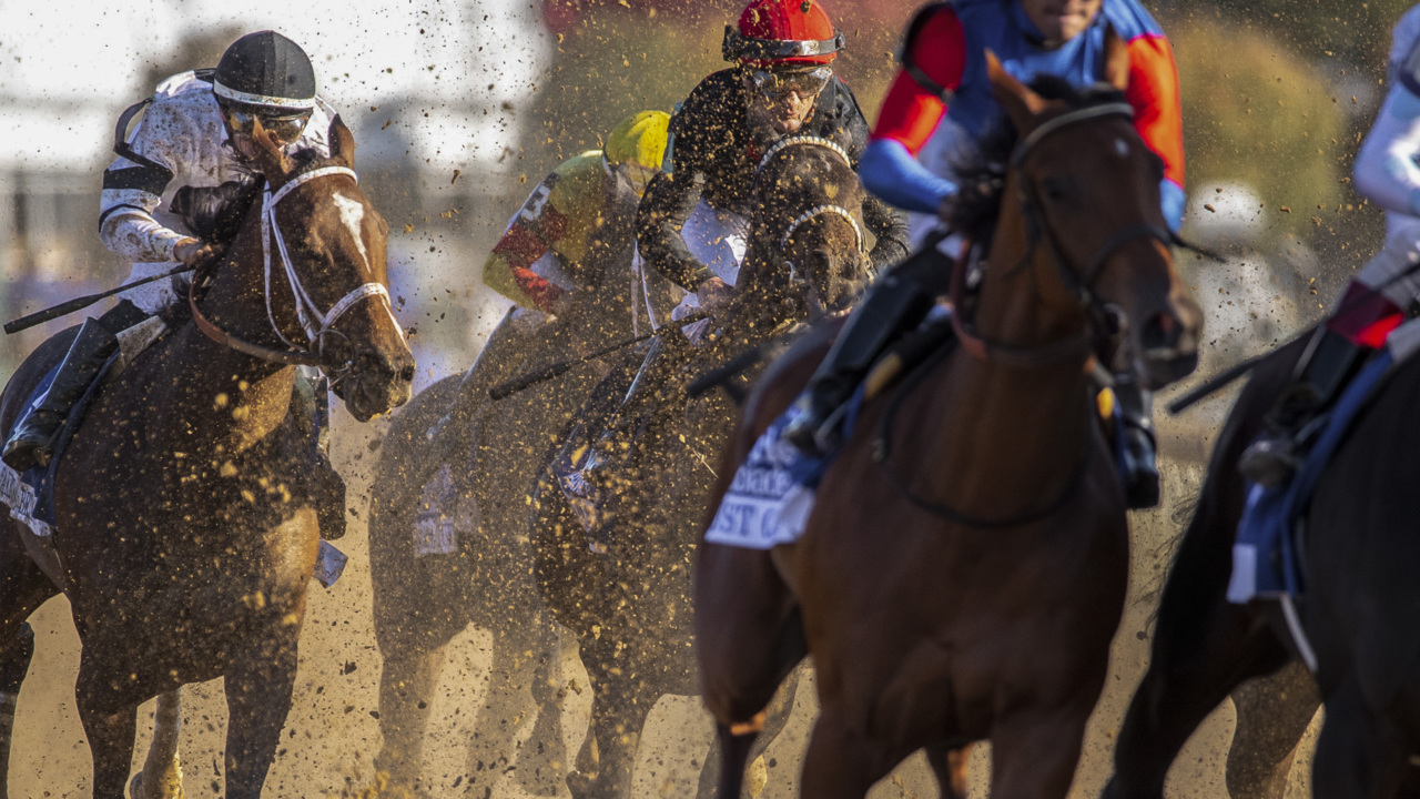 The sights and sounds of Keeneland as the 2022 Fall Meet opens