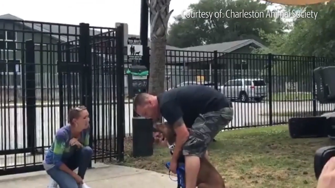 Homeless man joyously reunited with dog after months apart (Video ...