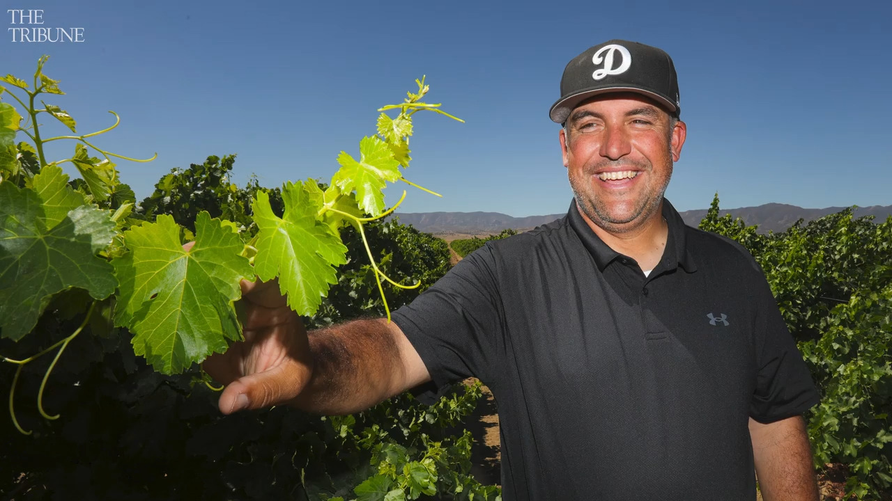 Cuyama vine grower explains how to grow millions of plantings