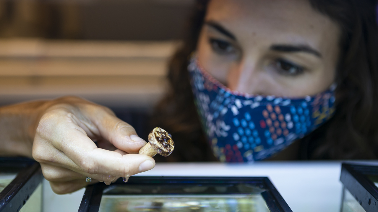 UM scientists use innovative technology to promote coral conservation