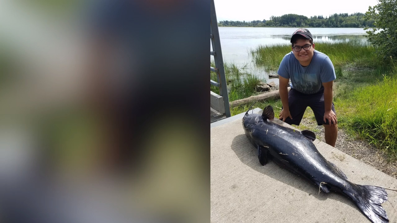 ‘That was my goal that day to get a catfish, just didn’t know it would be a big one’