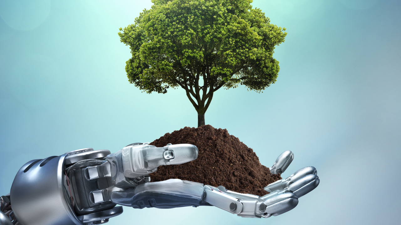 How researchers are trying to find the trees of the future for Sacramento